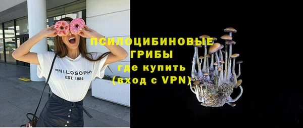 СК Абинск