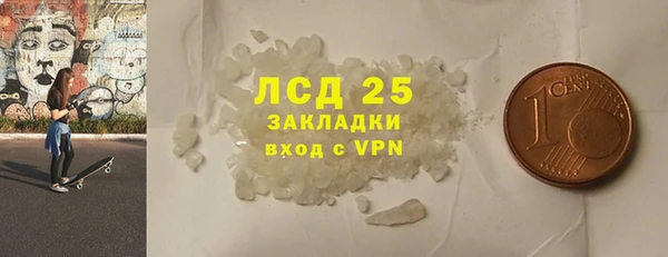 прущие грибы Абаза
