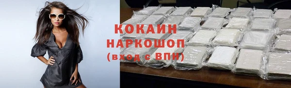 прущие грибы Абаза