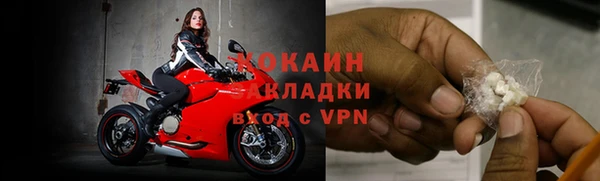 прущие грибы Абаза