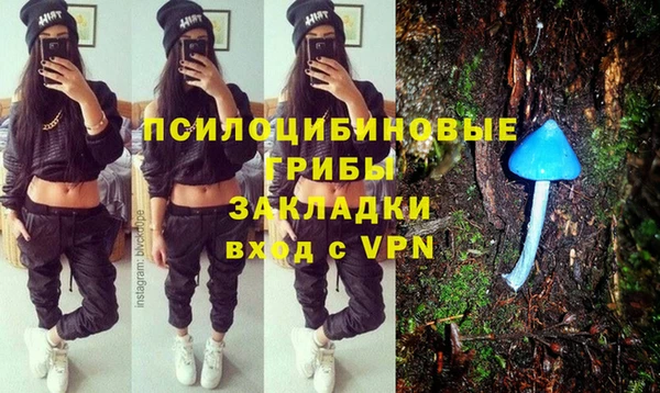 СК Абинск