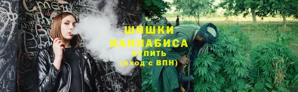 прущие грибы Абаза