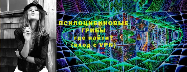 прущие грибы Абаза