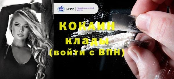 прущие грибы Абаза