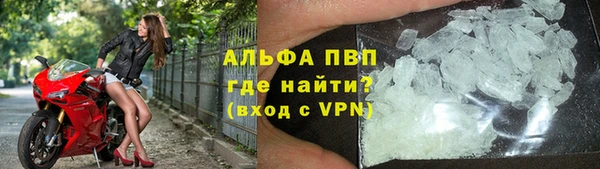 прущие грибы Абаза